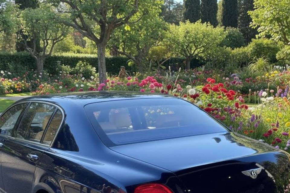 Prestige Navette