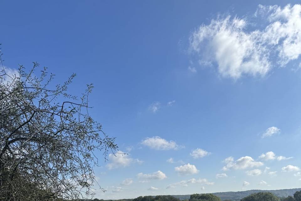 Vue du jardin en terrasse