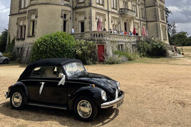 Coccinelle devant Chateau