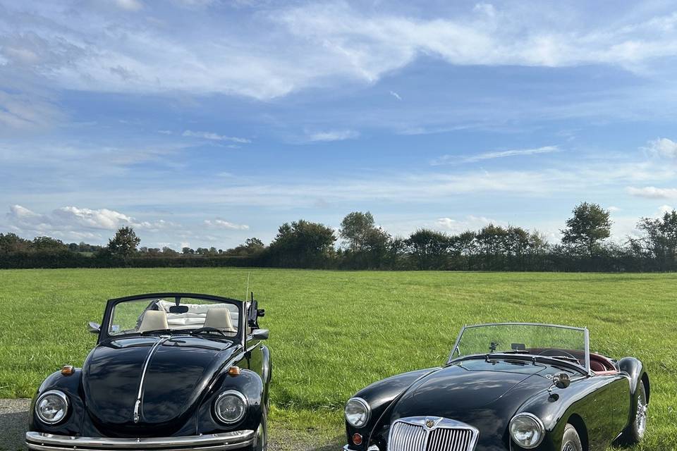Coccinelle et MGA