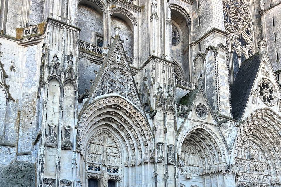 Coccinelle devant Cathédrale