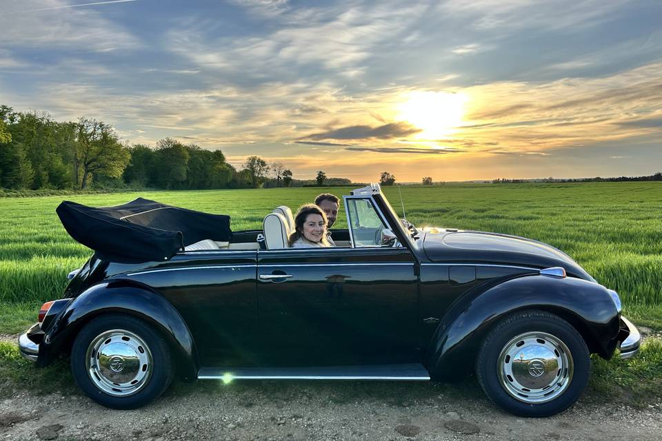 Coccinelle coucher de soleil