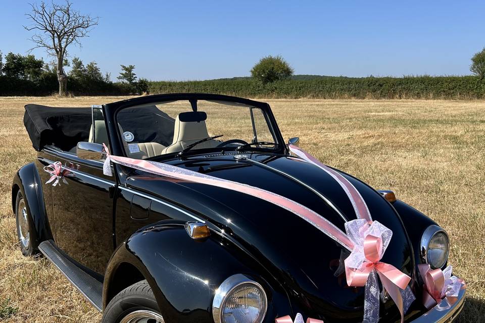 Cox mariage
