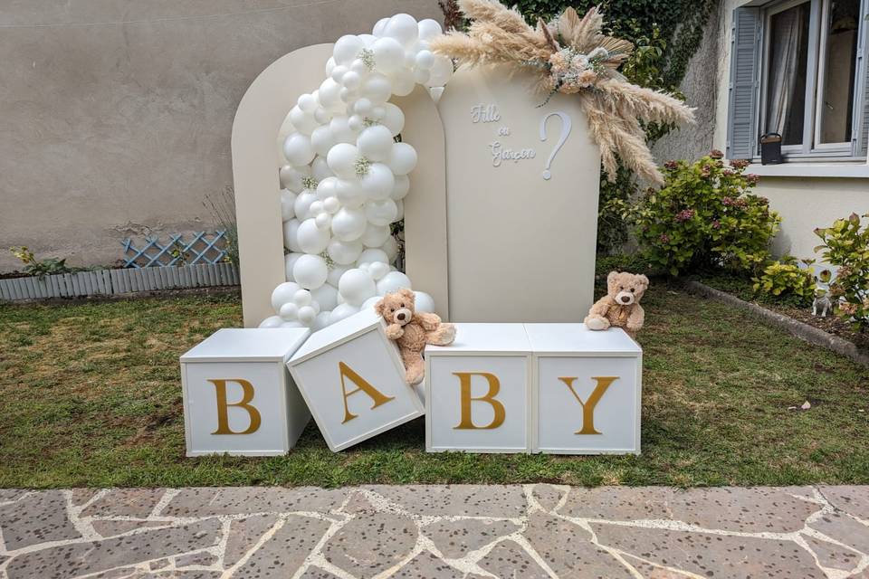 Backdrop gender reveal