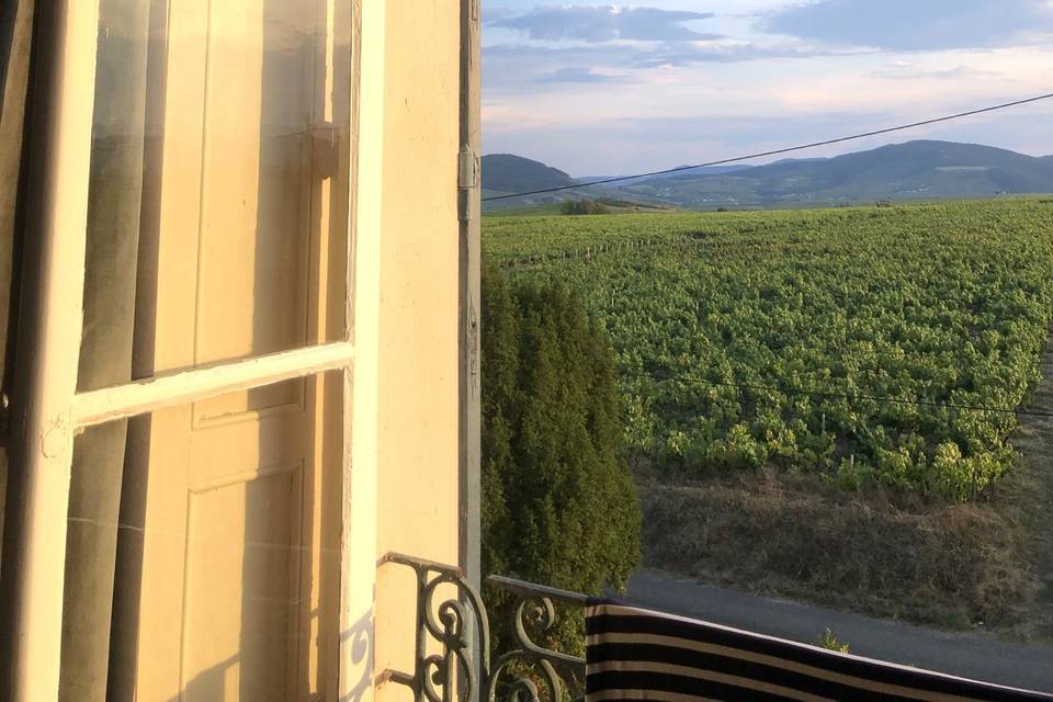 Vue sur les vignes