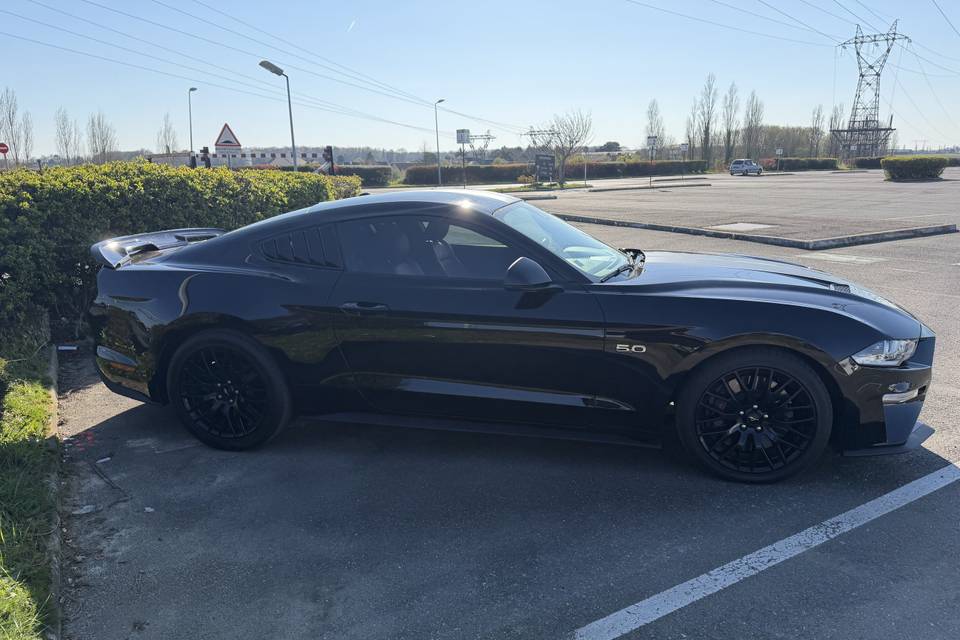 Ford mustang V8 460 CV