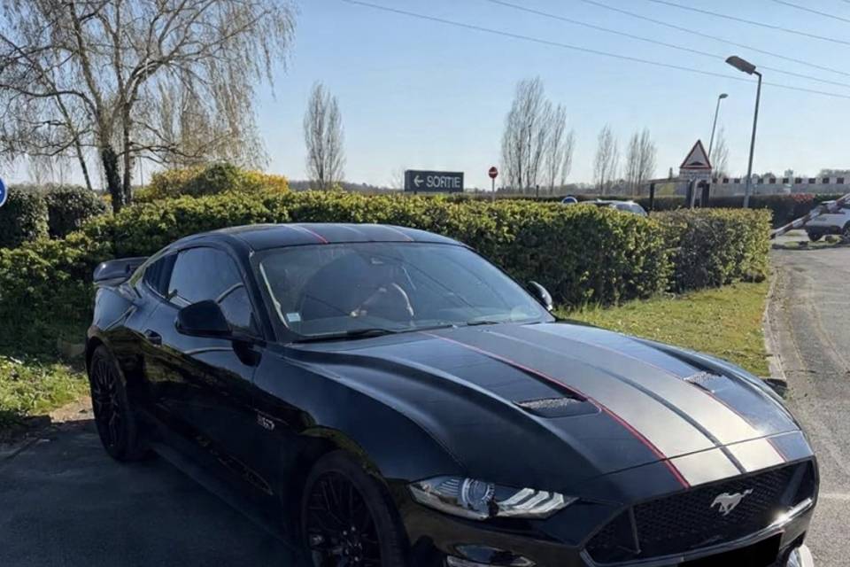 MGVTC