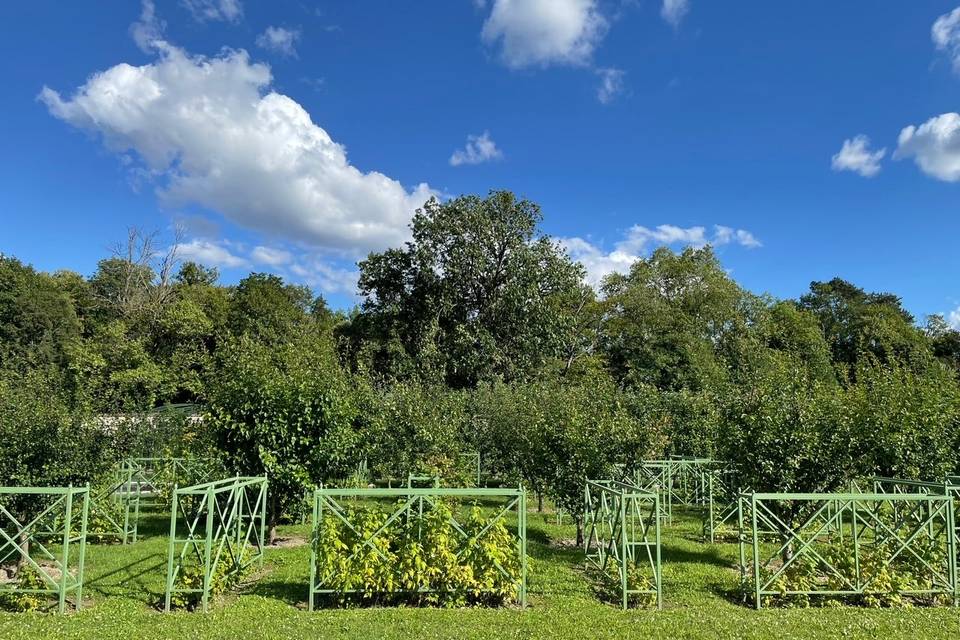 Jardin des fruits rouges