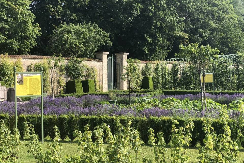 Jardin des lavandes