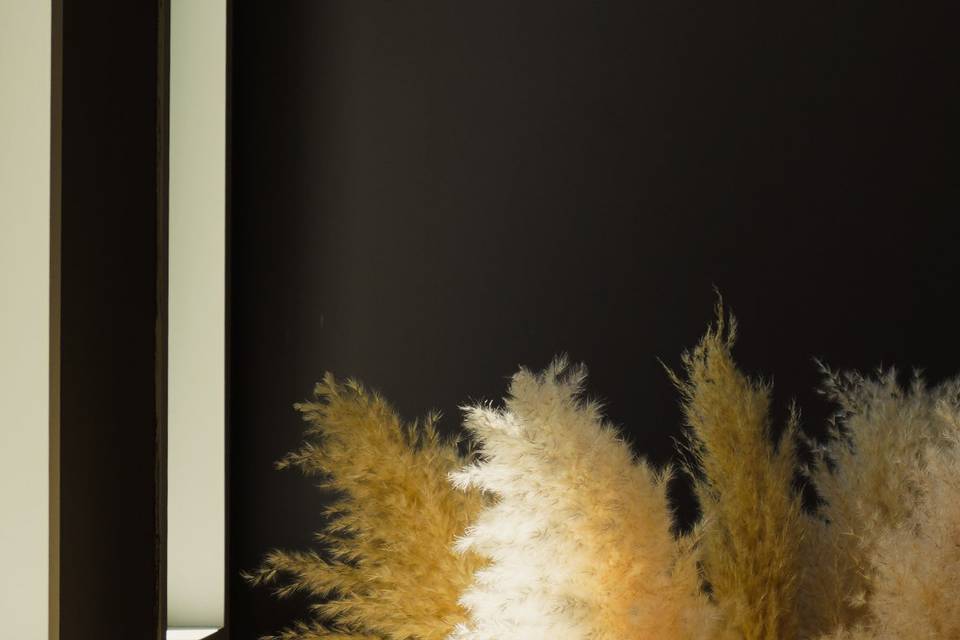 Pampas ⚜️