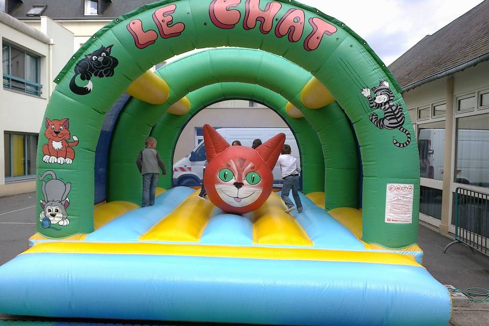 Le chat sous arches