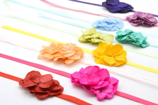 Collection - HORTENSIA