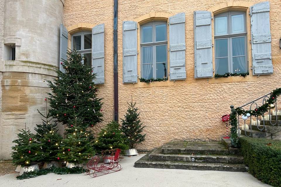 Installation Forêt de Sapins