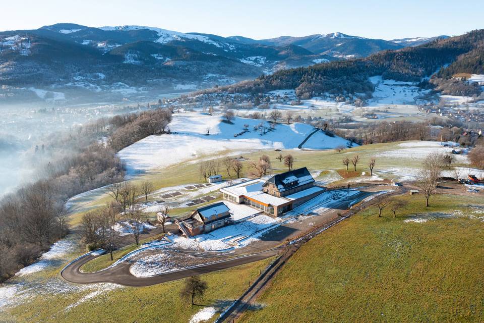 Domaine le H