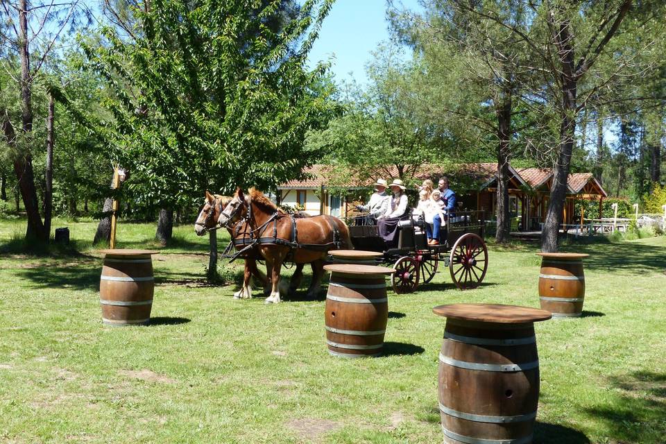 Arrivée des mariés en calèche