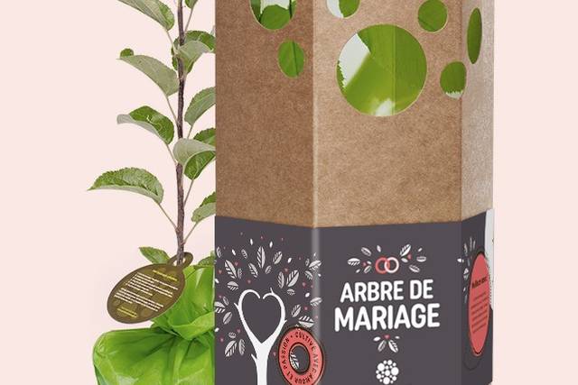 Arbre Cadeau