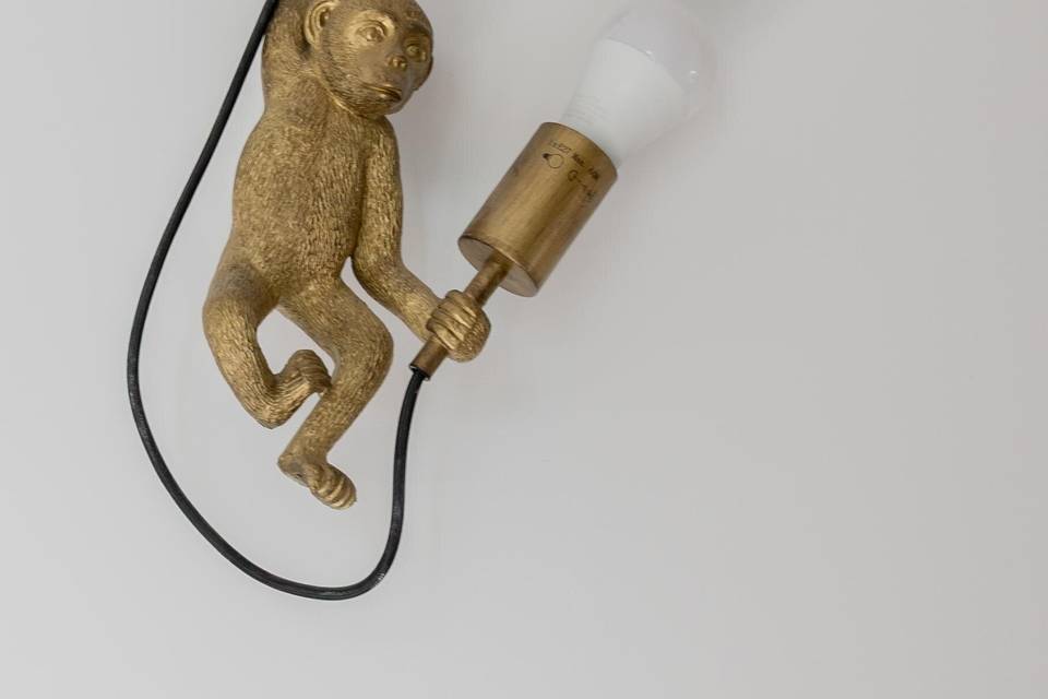 Luminaire