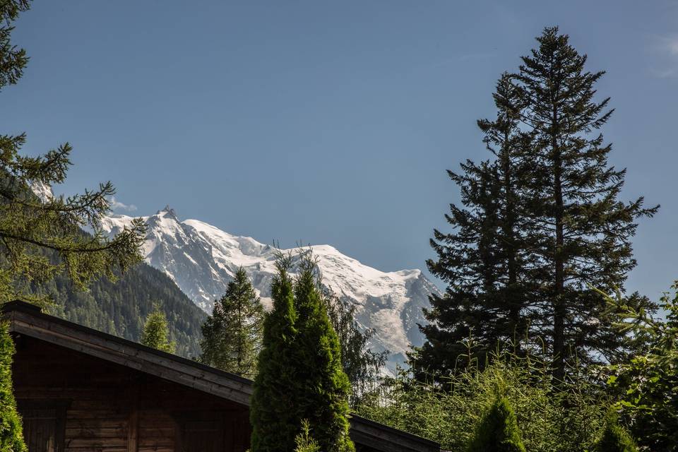 Le Mont-Blanc vu de l'ardoise