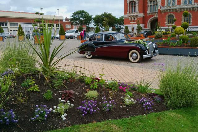 Jaguar mark 9