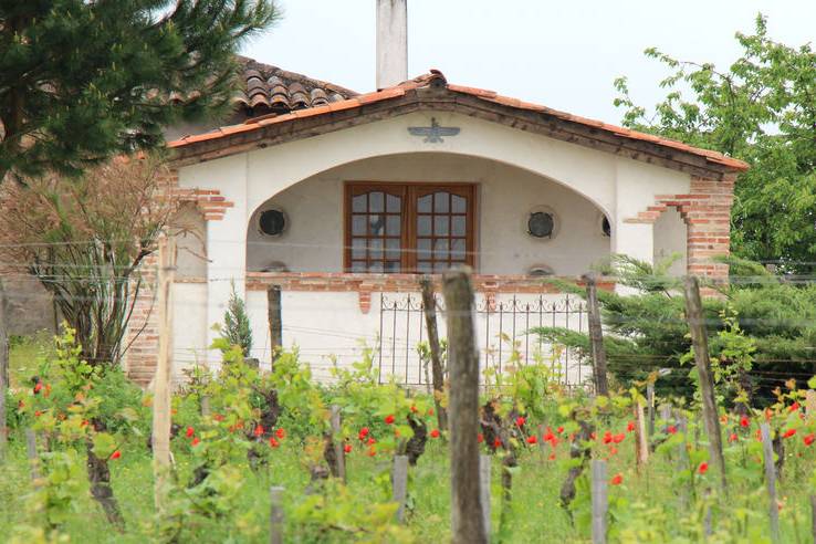 L'Amour en Vignes