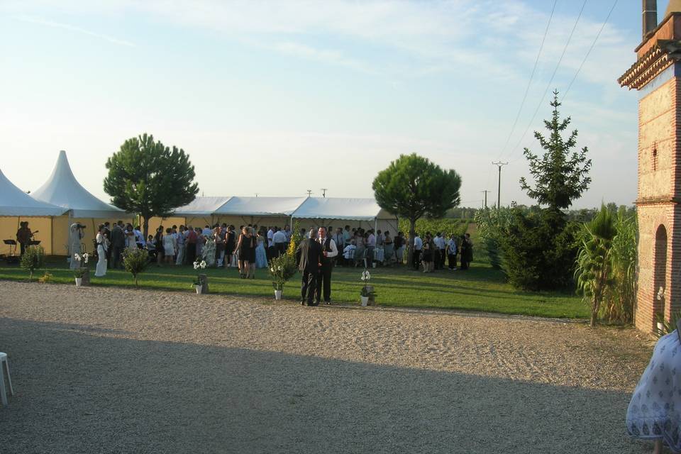 Le bar d'été