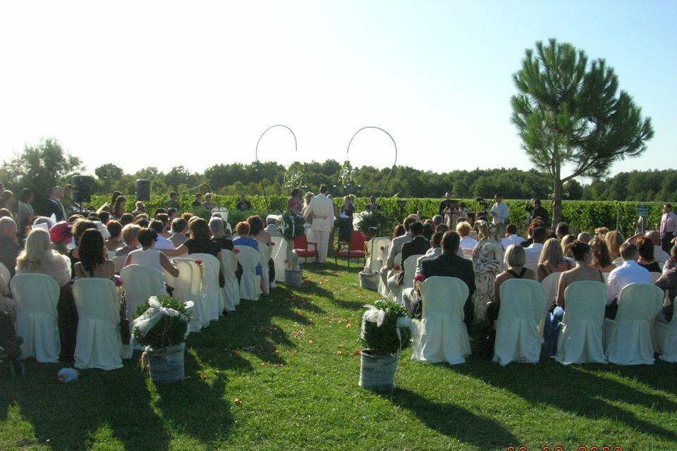 Cérémonie en Vignes