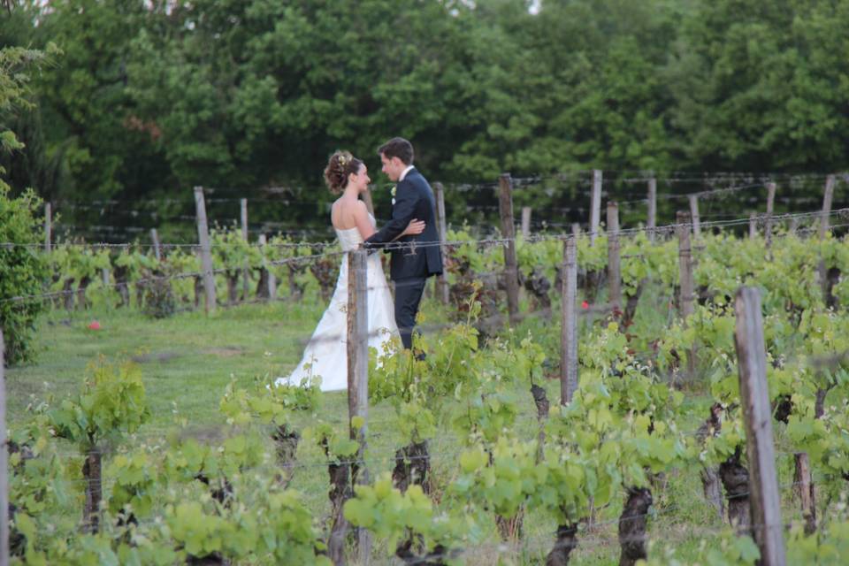 L'Amour en Vignes