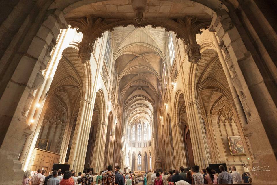 Cathédrale St Etienne