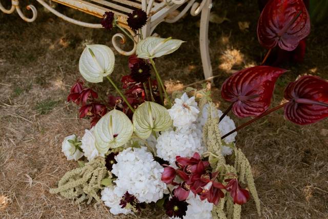 Flowers by Emeline