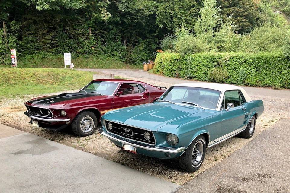 Les 2 mustangs