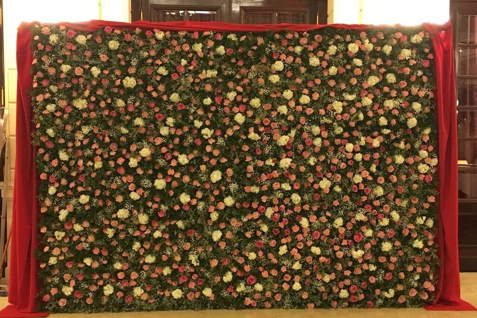 Mur de fleurs fraiches