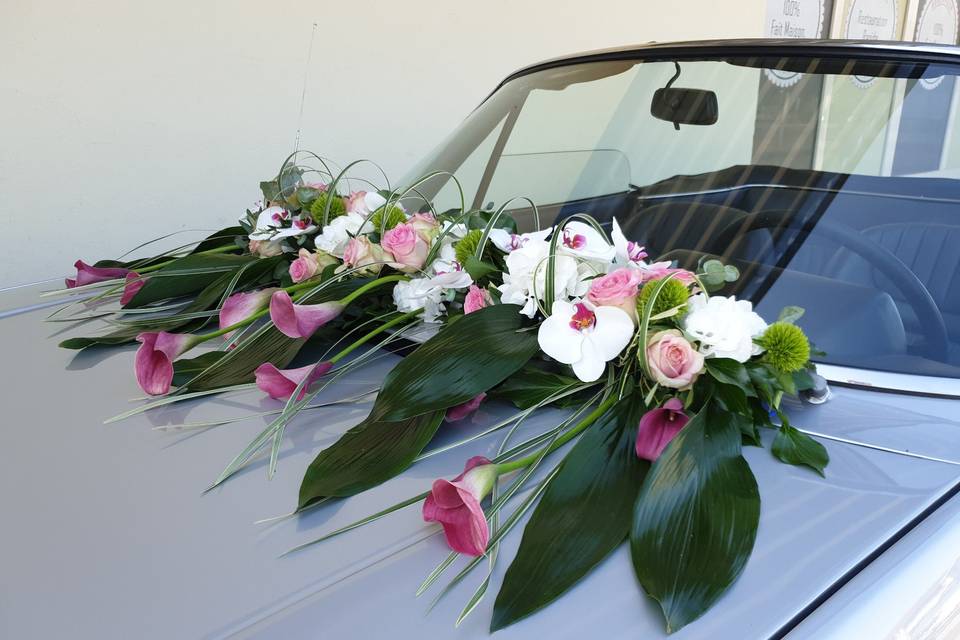 Décoration de voiture