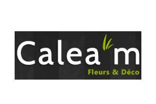 Calea'm