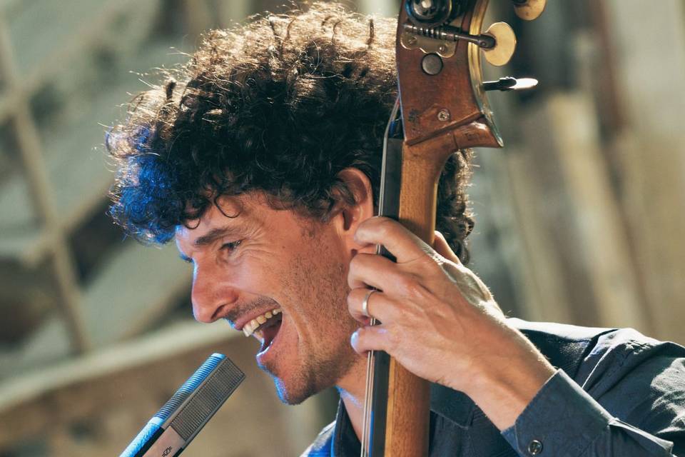 Chanteur de blues/folk