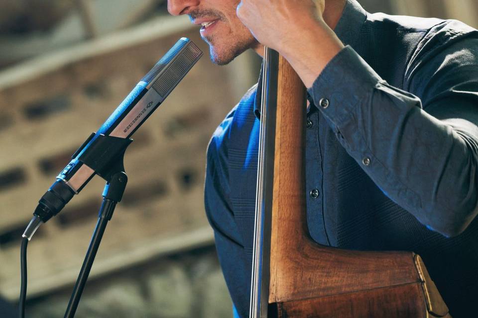 Contrebassiste chanteur