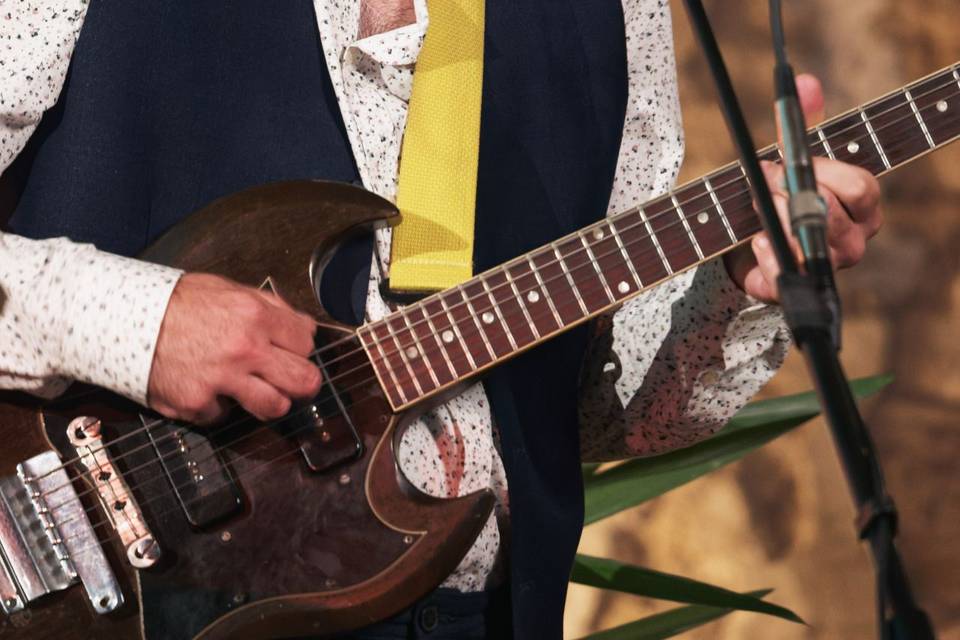 Guitariste chanteur de blues
