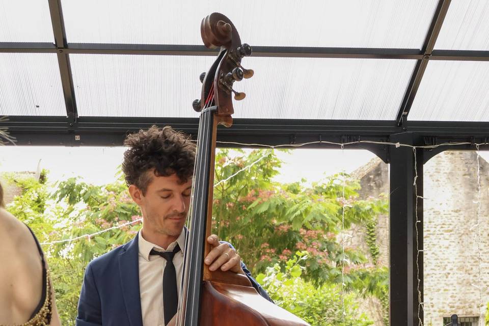 Contrebassiste Jazz et Pop