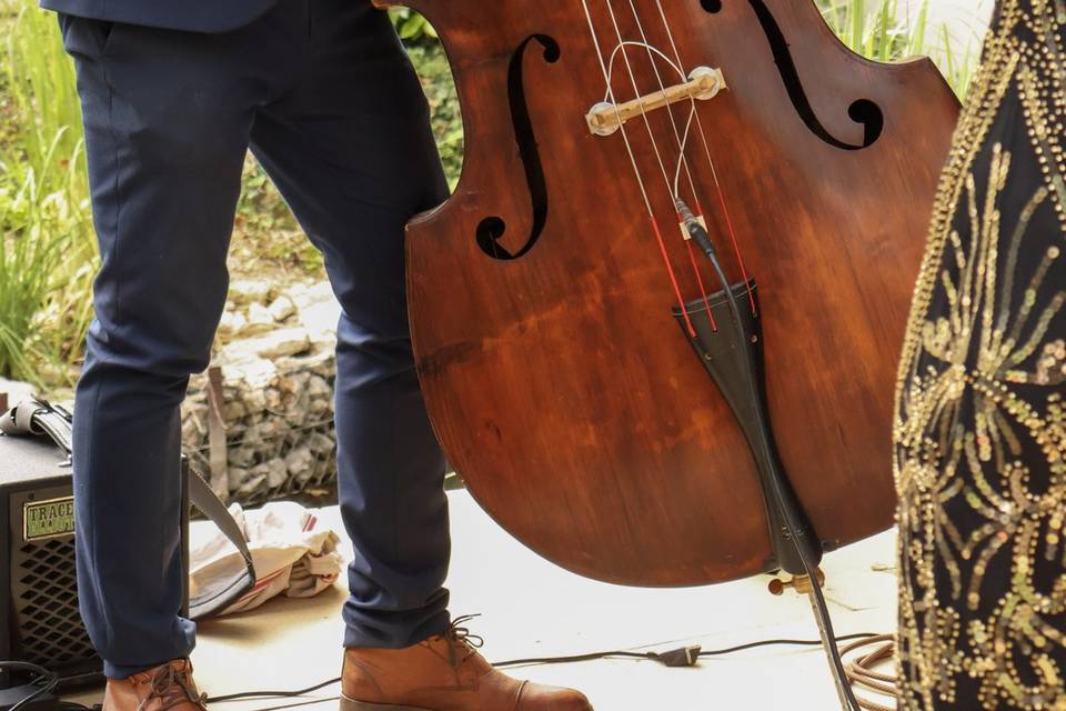 Contrebassiste du quintette