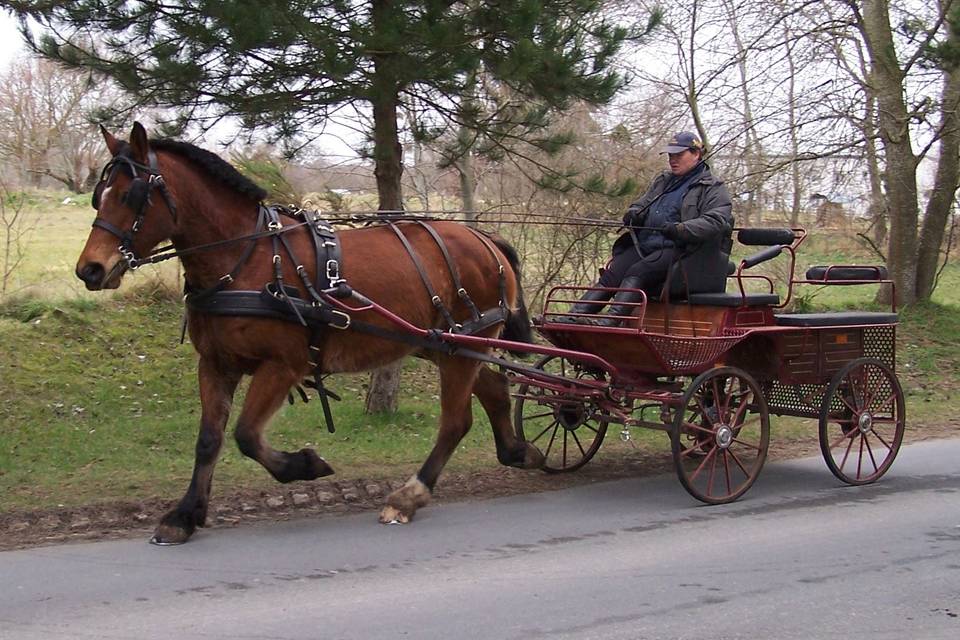 Ferme Équestre Esnol