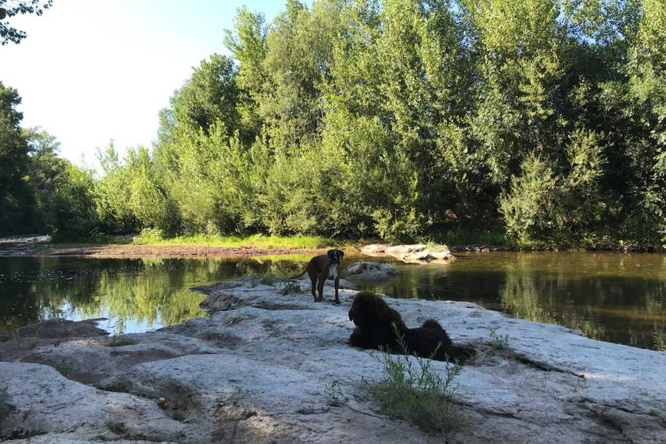 Rivière avec accès privé