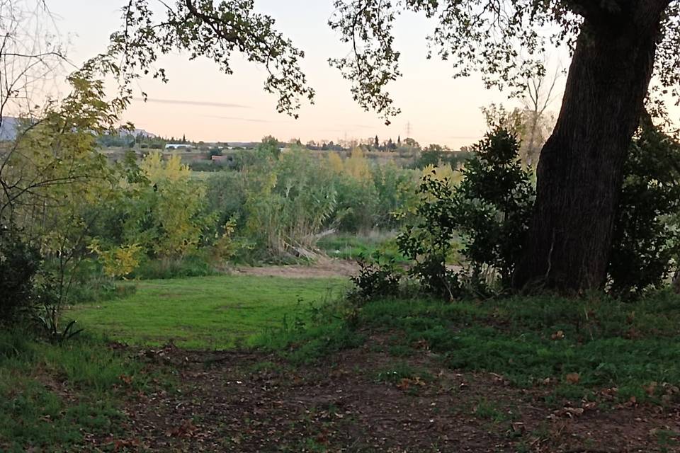 Côté parc avec accès rivière