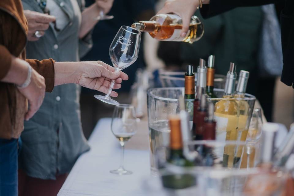 Dégustation de nos vins