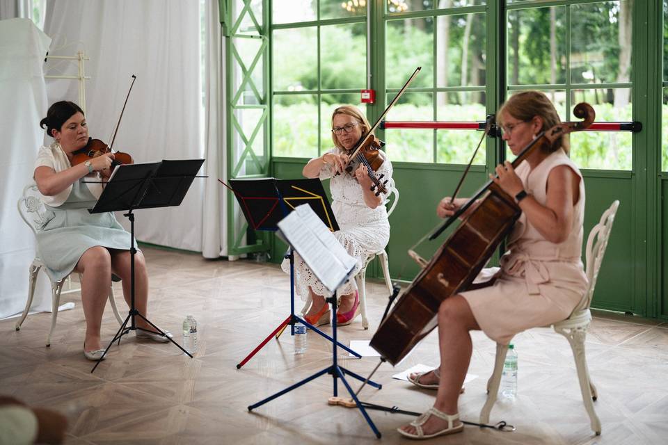 Musiciens en performance live