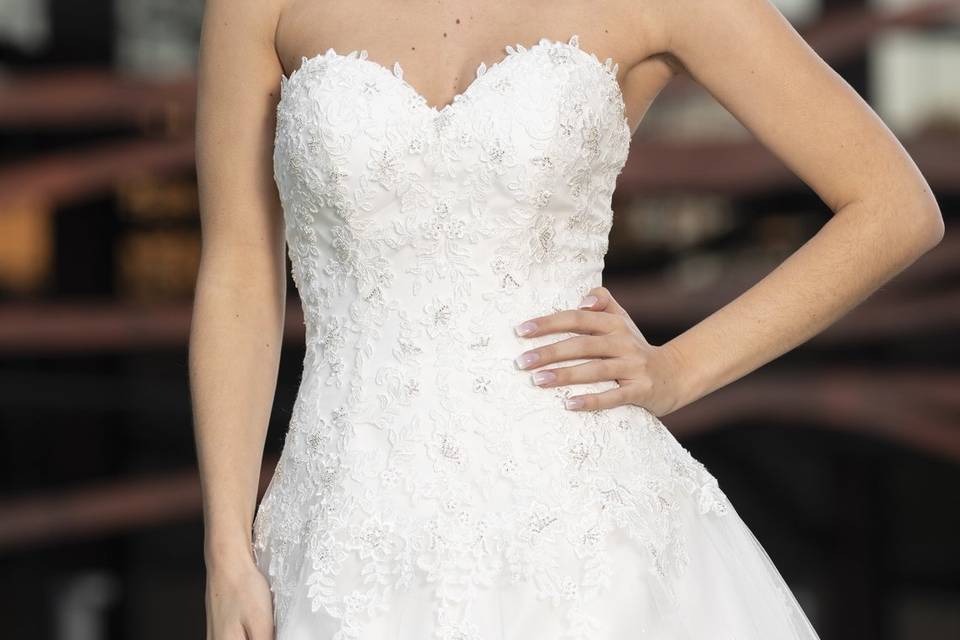 Collection 2023 -grande taille