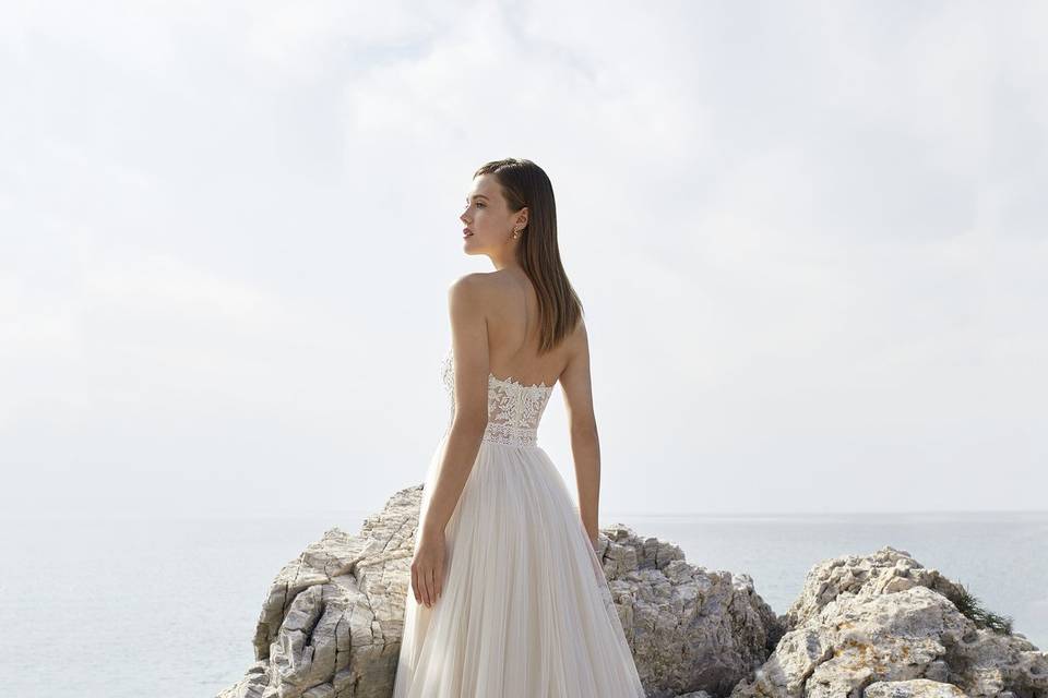 Collection 2023