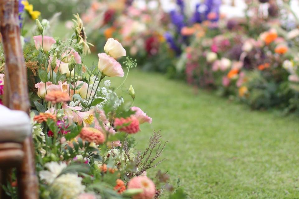 Allée jardin anglais
