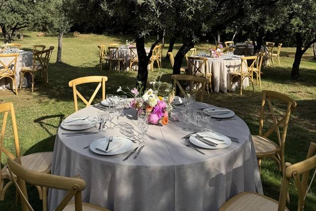 Dîner dans les oliviers