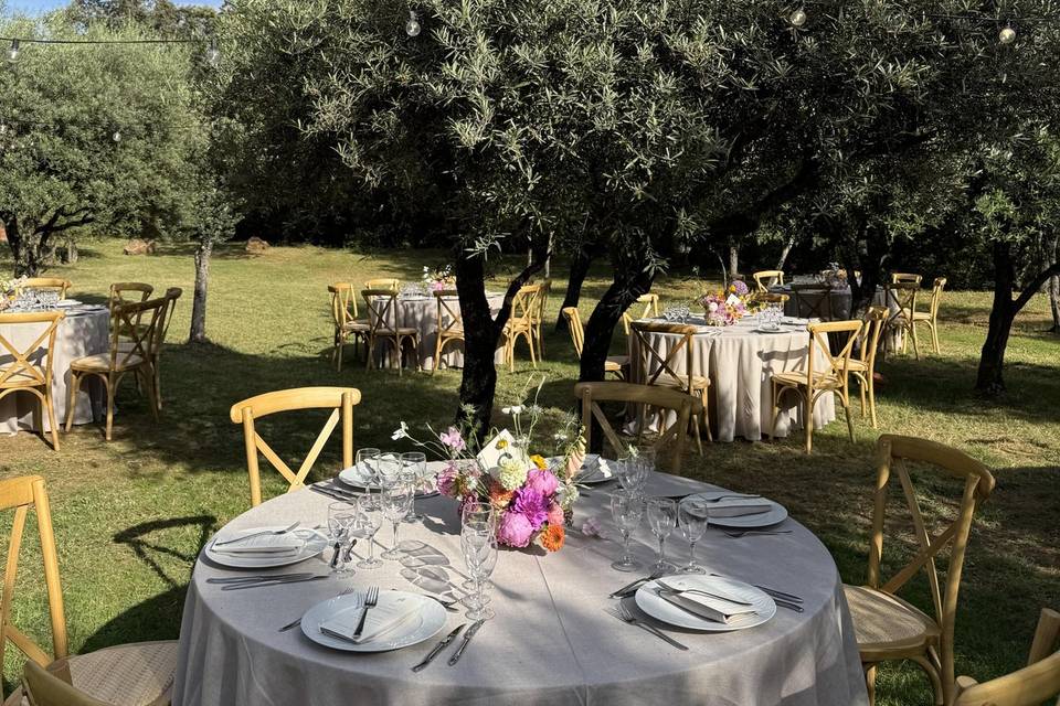 Dîner dans les oliviers