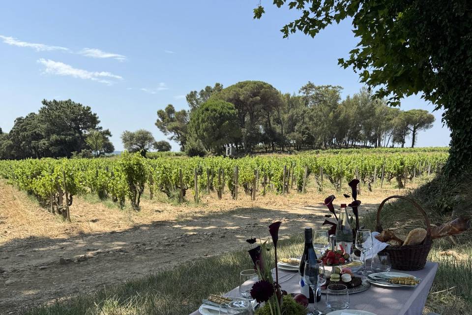 Pique nique dans les vignes