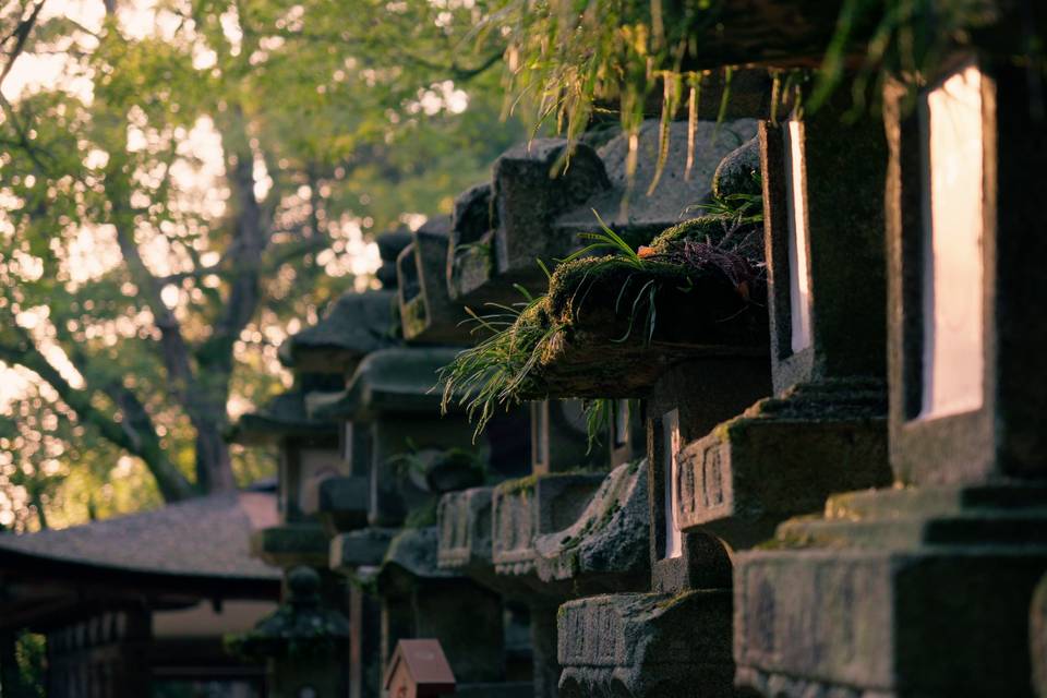 Nara, Japan